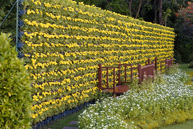 Promenade à Suan Luang avec Potter-045